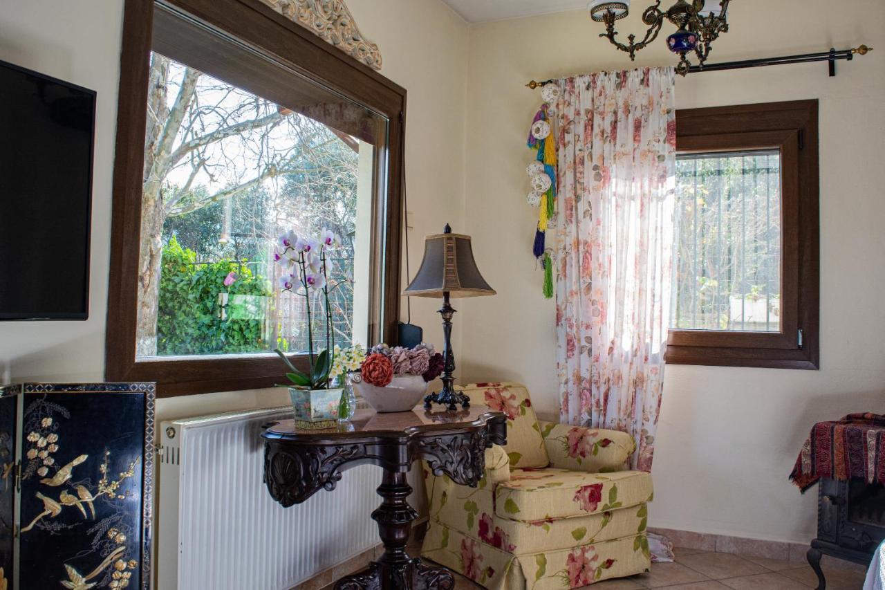 Sofia'S House Διαμέρισμα PalaiónTsiflíkion Εξωτερικό φωτογραφία